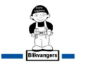 Blikvangers